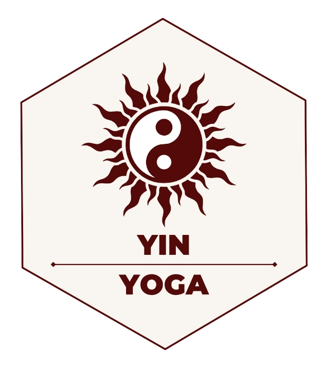 Aerial yin yoga dropin classes goa