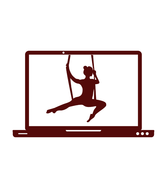 Online Aerial Yoga TTC