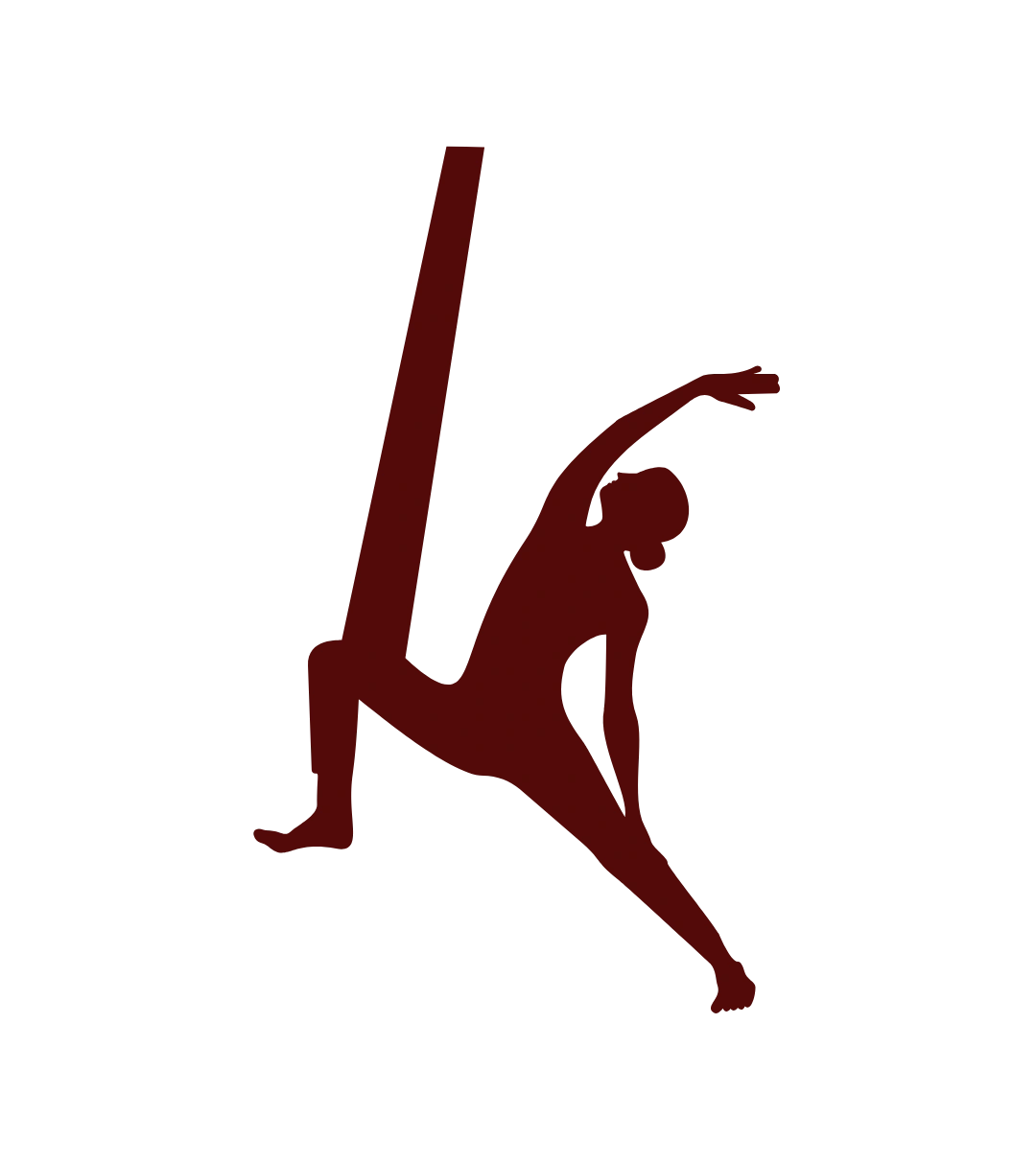 Online Aerial Yoga TTC