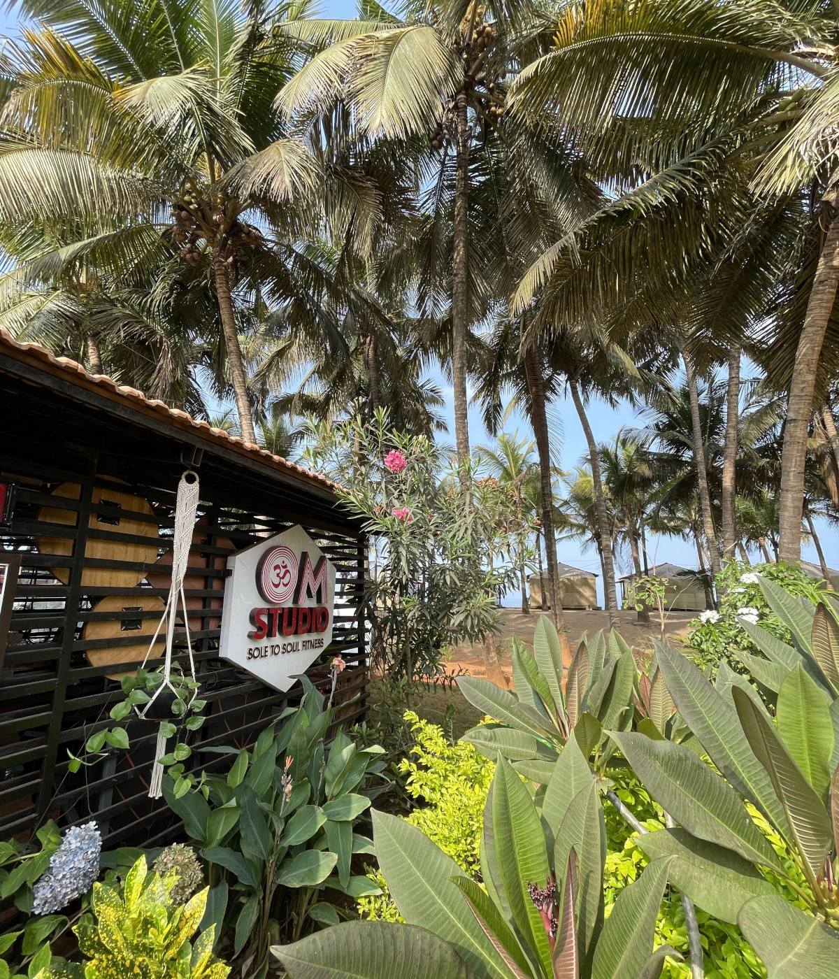 Sudio drop in classes in Goa